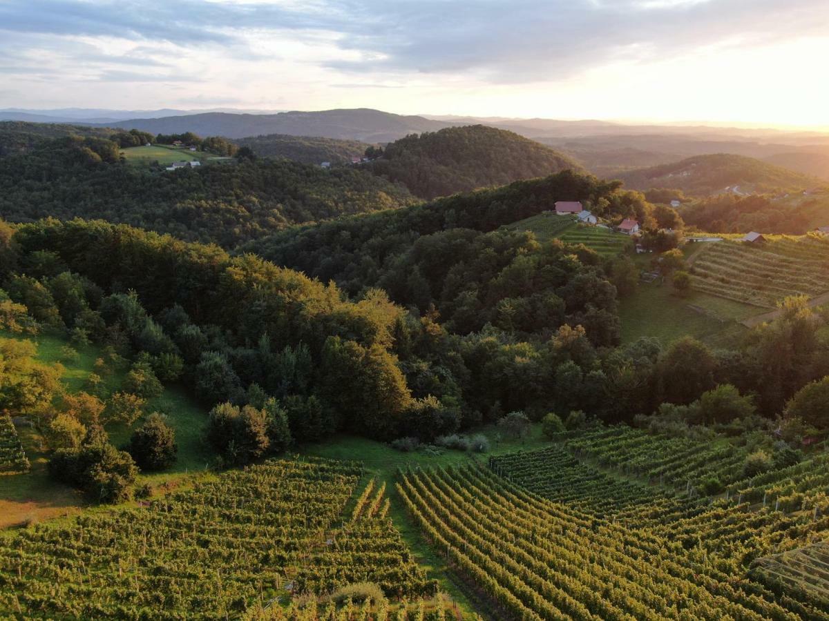 Vineyard Cottage Urban Mirna Zewnętrze zdjęcie